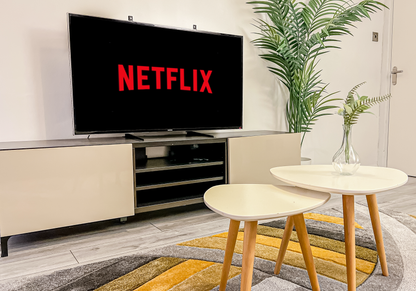 modern stylish comfortable living room in a modern airbnb in london bridge borough market netflix