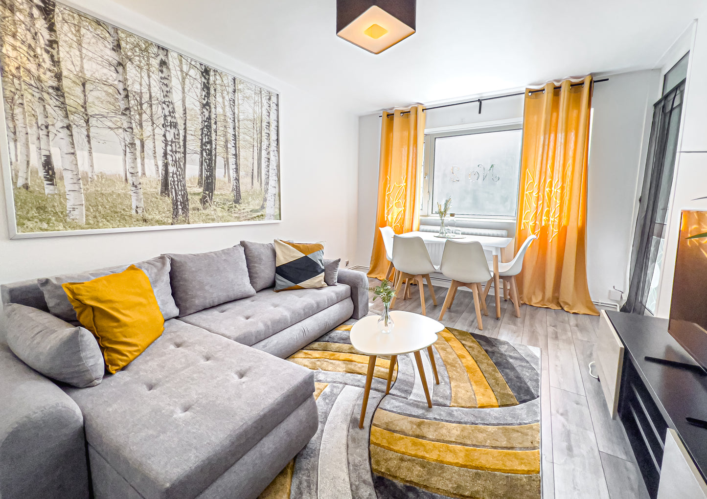 modern stylish comfortable living room in a modern airbnb in london bridge borough market